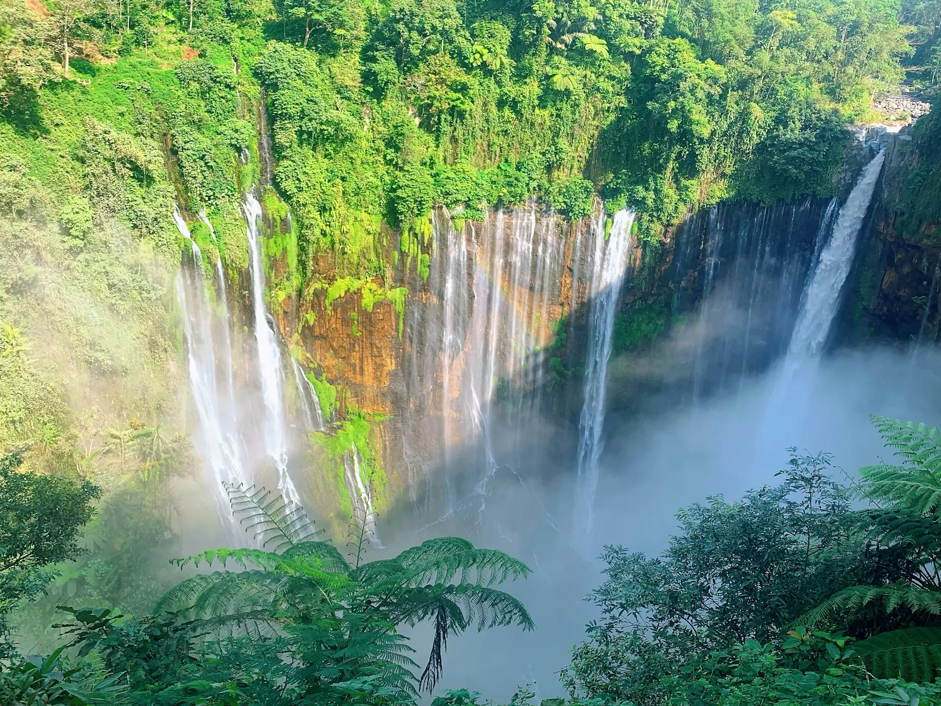 View Point